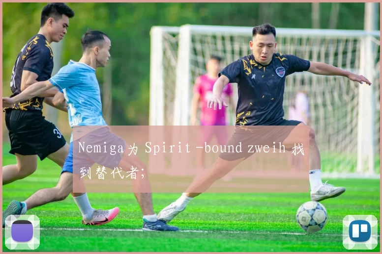 Nemiga为 Spirit -bound zweih 找到替代者;