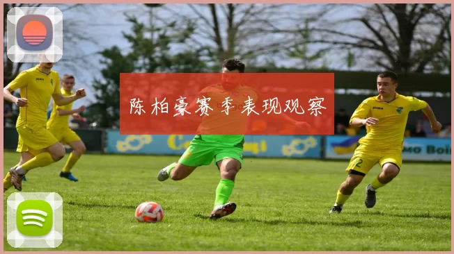 陈柏豪赛季表现观察