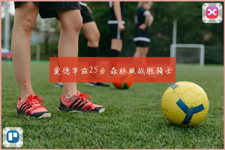 爱德华兹25分 森林狼战胜骑士