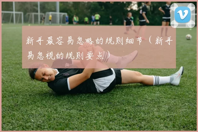 新手最容易忽略的规则细节（新手易忽视的规则要点）