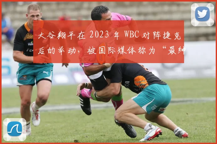 大谷翔平在 2023 年 WBC 对阵捷克后的举动，被国际媒体称为“最绅士球员”