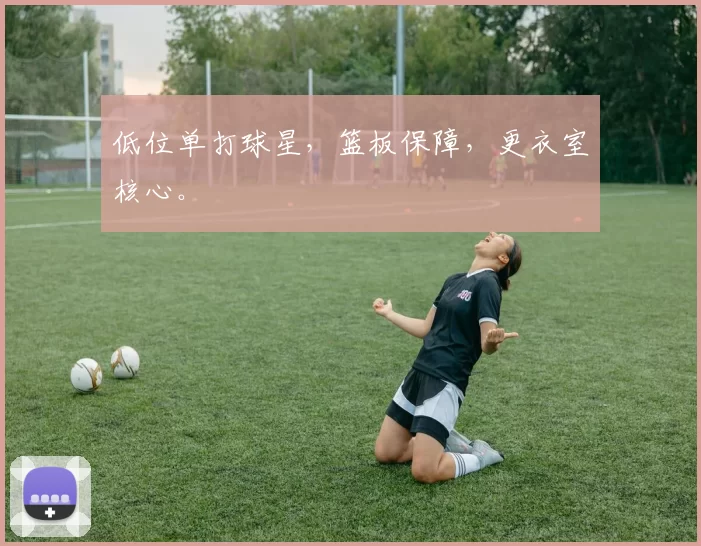 低位单打球星，篮板保障，更衣室核心。