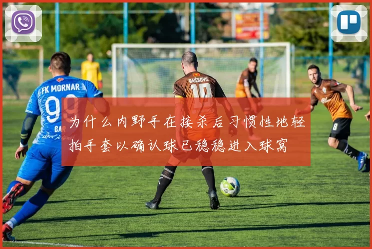 为什么内野手在接杀后习惯性地轻拍手套以确认球已稳稳进入球窝