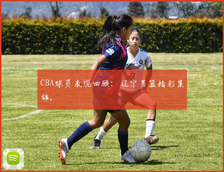 CBA球员表现回顾：辽宁男篮精彩集锦,