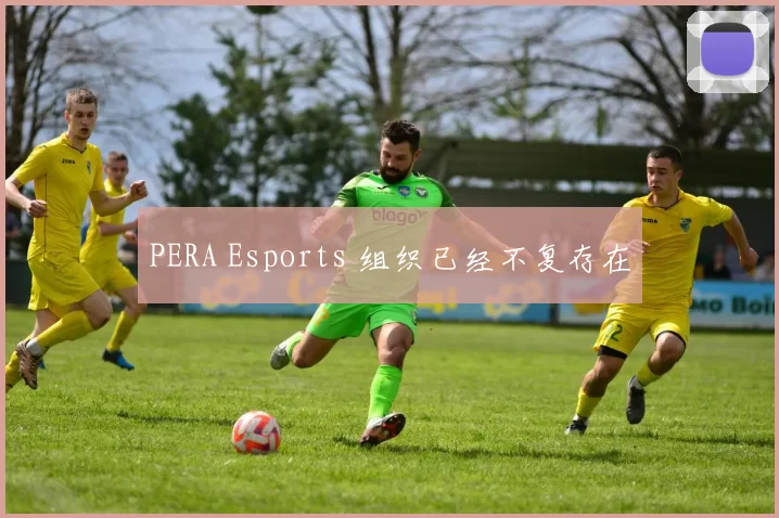 PERA Esports 组织已经不复存在