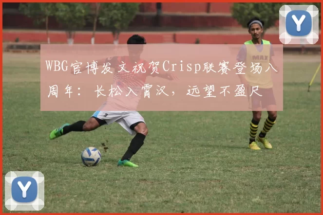 WBG官博发文祝贺Crisp联赛登场八周年：长松入霄汉，远望不盈尺