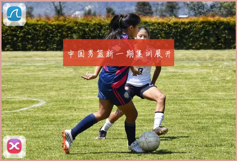 中国男篮新一期集训展开