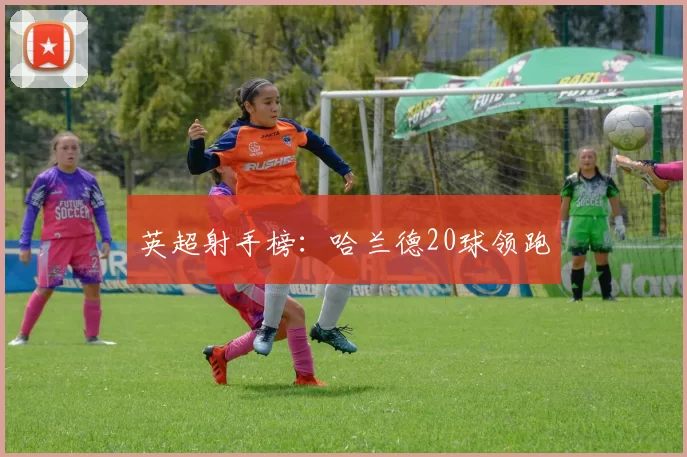 英超射手榜：哈兰德20球领跑